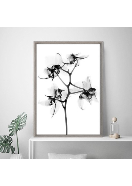 Gölgeli Çiçek 1 Çerçeve ve Poster - SB1079