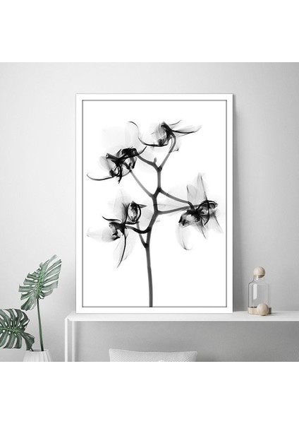 Gölgeli Çiçek 1 Çerçeve ve Poster - SB1079 fiyatları