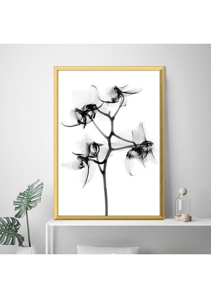 Gölgeli Çiçek 1 Çerçeve ve Poster - SB1079 modelleri