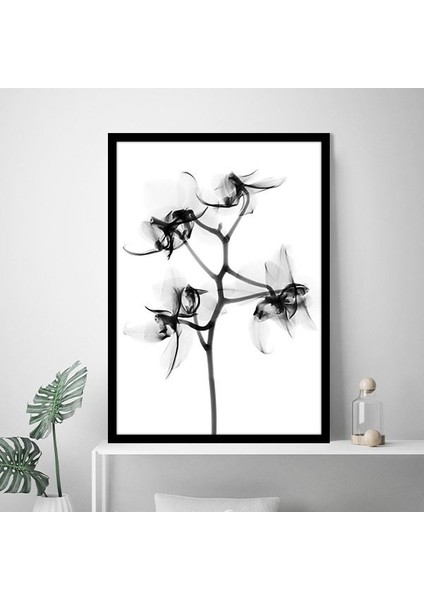 Gölgeli Çiçek 1 Çerçeve ve Poster - SB1079 fırsatları