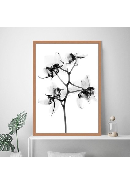 Gölgeli Çiçek 1 Çerçeve ve Poster - SB1079 indirimleri