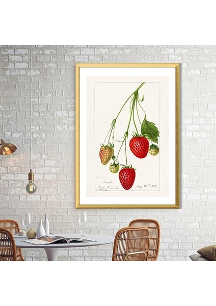 Çilek 2 Çerçeve ve Poster - MT1051