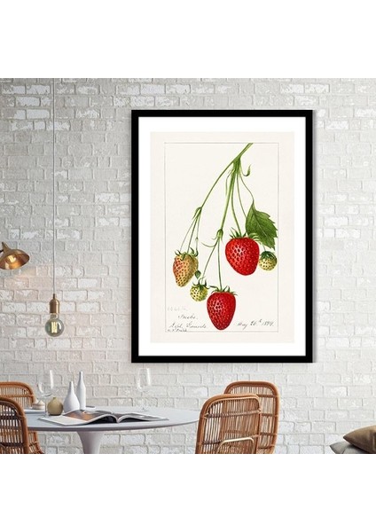 Çilek 2 Çerçeve ve Poster - MT1051