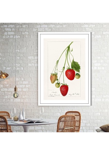 Çilek 2 Çerçeve ve Poster - MT1051