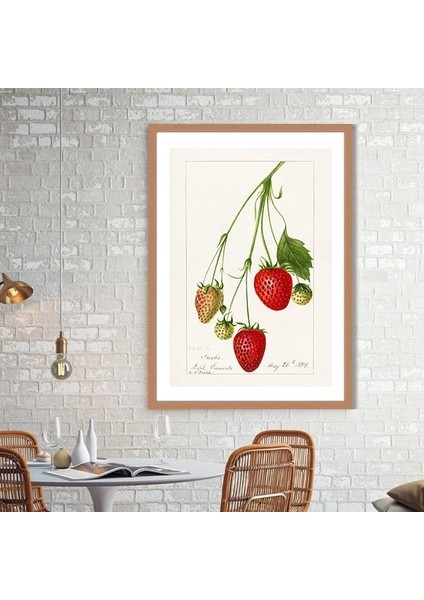 Çilek 2 Çerçeve ve Poster - MT1051
