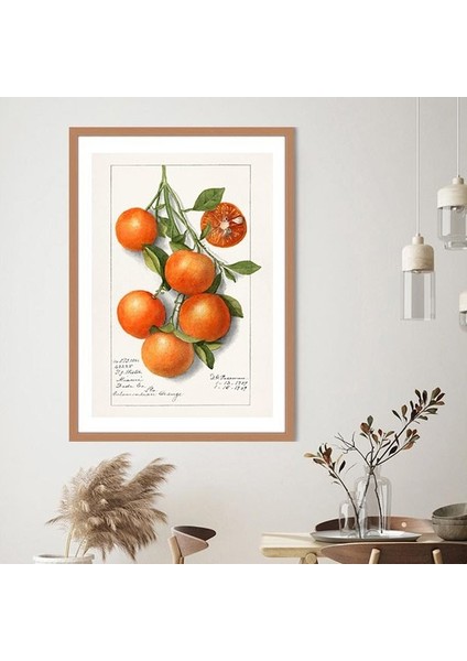 Mandalina 3 Çerçeve ve Poster - MT1102