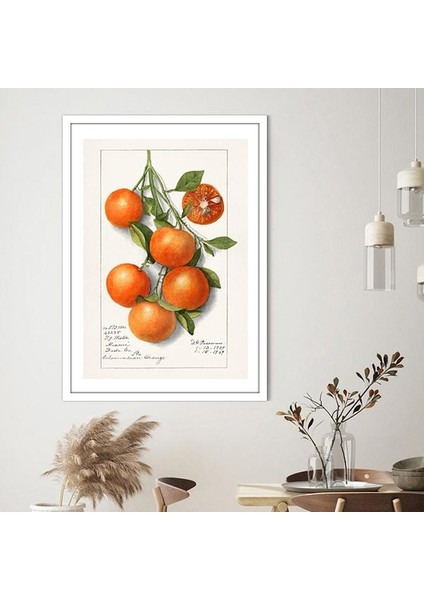 Mandalina 3 Çerçeve ve Poster - MT1102