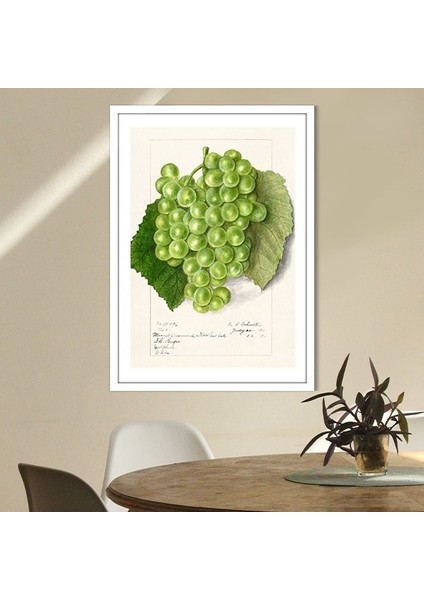 Yeşil Üzümler 1 Çerçeve ve Poster - MT1103