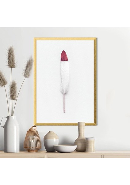 Pembe Detaylı Beyaz Kuş Tüyü 1 Çerçeve ve Poster - H1067
