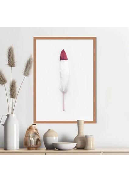 Pembe Detaylı Beyaz Kuş Tüyü 1 Çerçeve ve Poster - H1067