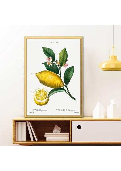 Limon 2 Çerçeve ve Poster - MT1073
