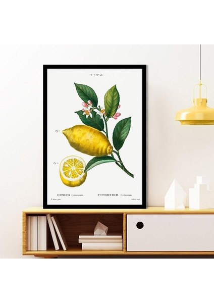 Limon 2 Çerçeve ve Poster - MT1073