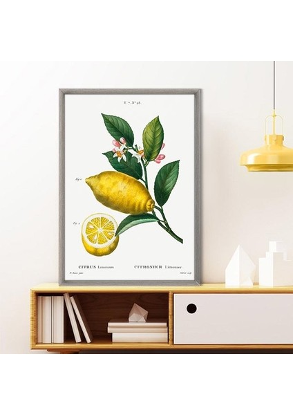 Limon 2 Çerçeve ve Poster - MT1073