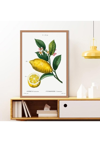 Limon 2 Çerçeve ve Poster - MT1073