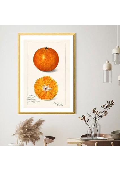 Mandalina 2 Çerçeve ve Poster - MT1100