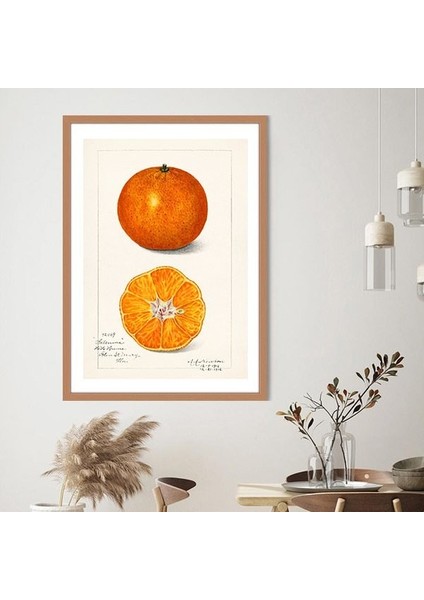 Mandalina 2 Çerçeve ve Poster - MT1100