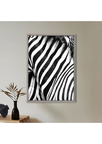 Zebra Dokusu 3 Çerçeve ve Poster - H1049