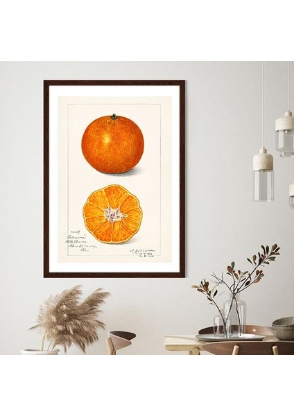 Mandalina 2 Çerçeve ve Poster - MT1100 fırsatları