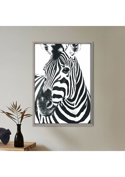 Zebra 1 Çerçeve ve Poster - H1047 modelleri
