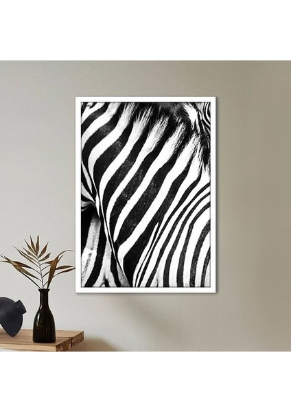 Zebra Dokusu 3 Çerçeve ve Poster - H1049