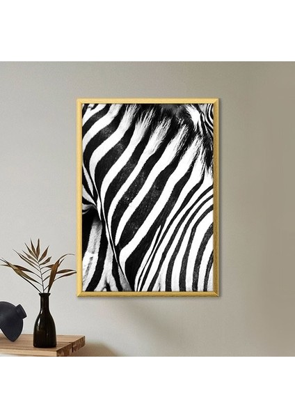 Zebra Dokusu 3 Çerçeve ve Poster - H1049