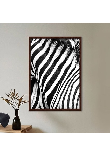 Zebra Dokusu 3 Çerçeve ve Poster - H1049