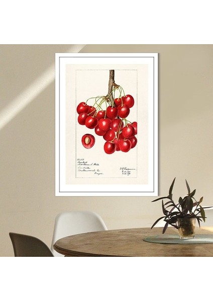 Kiraz 2 Çerçeve ve Poster - MT1052