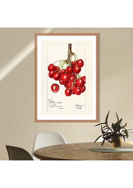 Kiraz 2 Çerçeve ve Poster - MT1052