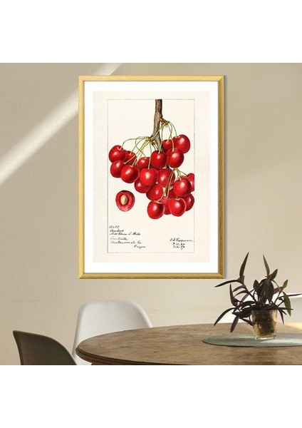 Kiraz 2 Çerçeve ve Poster - MT1052