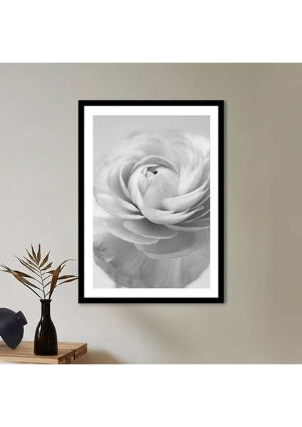 Tek Gül 2 Çerçeve ve Poster - SB1056