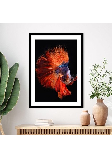 Turuncu Balık 1 Çerçeve ve Poster - H1018