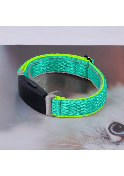 Fitbit Inspire 3 Nane Yeşili Için Dalga Örgülü Naylon Askı (Yurt Dışından)