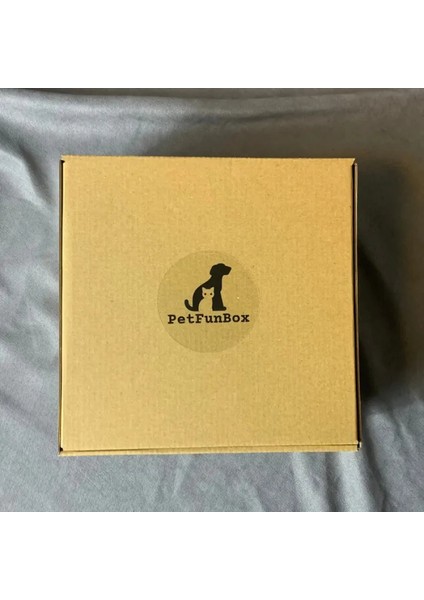 Peluş Oyuncak X2 + Fare Oyuncak X2 + Yaş Mama X2 + 2 Adet Puding Mama Kedi Seti