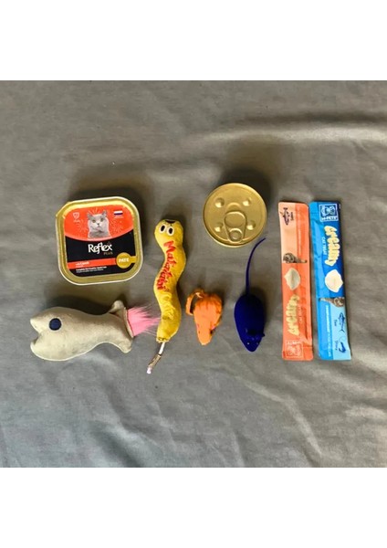 Peluş Oyuncak X2 + Fare Oyuncak X2 + Yaş Mama X2 + 2 Adet Puding Mama Kedi Seti