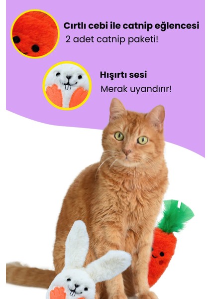 Kedi Oyuncak Seti Hışırtı Sesli Peluş Tavşan ve 2 Adet Catnip Paketli Peluş Havuç Kedi Oyuncakları