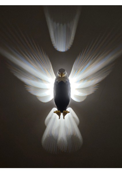 MYK-DAK-5V Dokunmatik Kartal Aplik