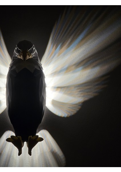 MYK-DAK-5V Dokunmatik Kartal Aplik fiyatları