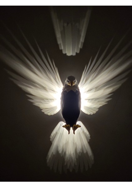 MYK-DAK-5V Dokunmatik Kartal Aplik modelleri