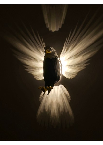 MYK-DAK-5V Dokunmatik Kartal Aplik fırsatları