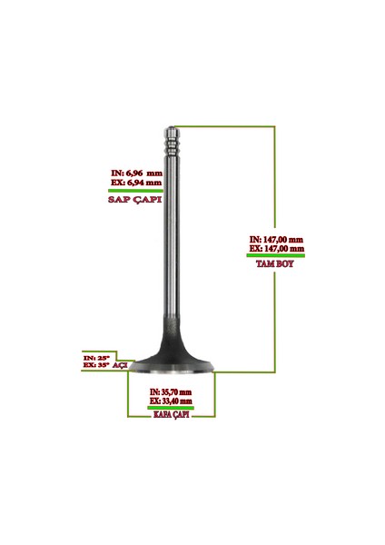 103081316 Subap Takımı Stellıtlı D35-H575 08-Euro3 2221152000