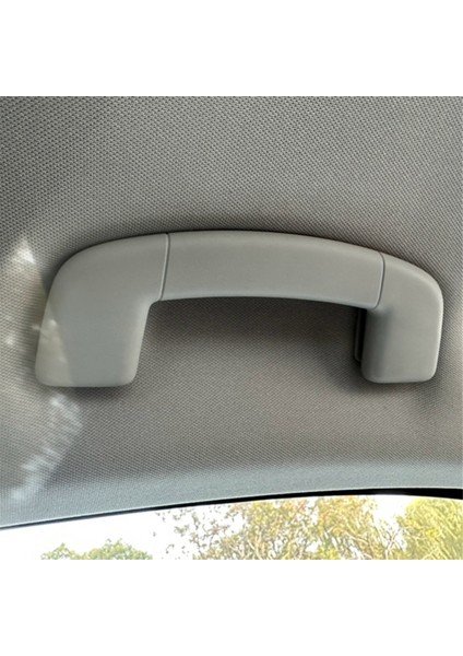 Ön Iç Tavan Güvenlik Kolu Tavan Çekme Kolu Tavan Kol Dayama Korkuluğu Vw Tiguan Mk2 2017 2018 5Ng857607A (Yurt Dışından) indirimleri