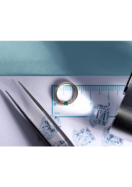Prenses Zümrütlü Halka Piercing, 10-12 mm , 1.2 Mm, 14K Sarı-Beyaz-Kırmızı Altın | LC00034E