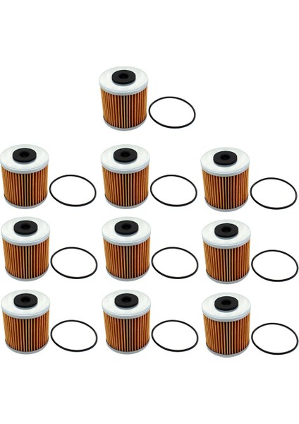 10 Set O-Ringli Şanzıman Filtresi Hidro Dişli 71943 Şanzıman Ferris Gravely Scag (Yurt Dışından)