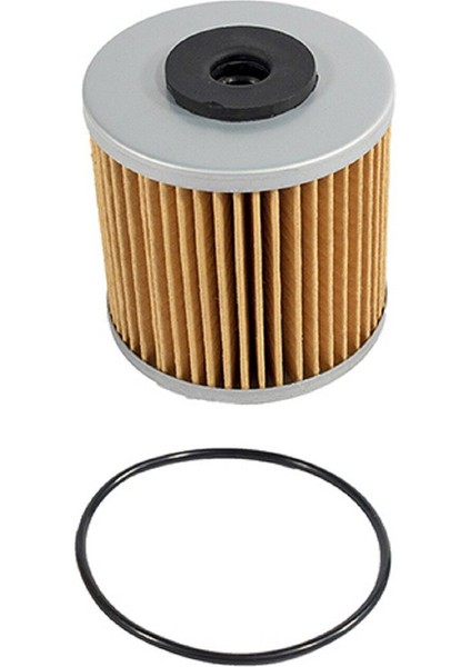 10 Set O-Ringli Şanzıman Filtresi Hidro Dişli 71943 Şanzıman Ferris Gravely Scag (Yurt Dışından)