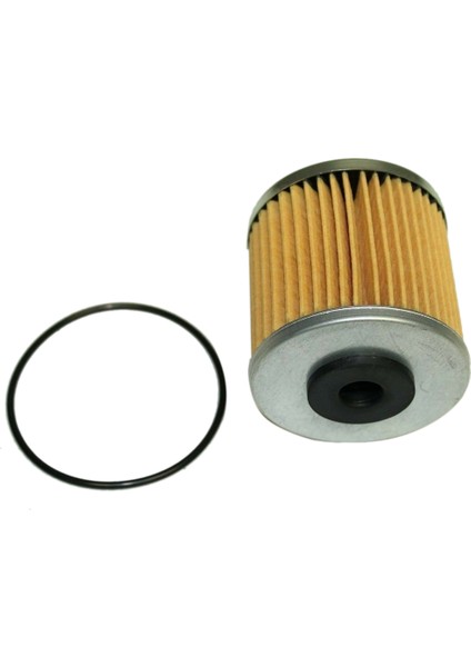 10 Set O-Ringli Şanzıman Filtresi Hidro Dişli 71943 Şanzıman Ferris Gravely Scag (Yurt Dışından)