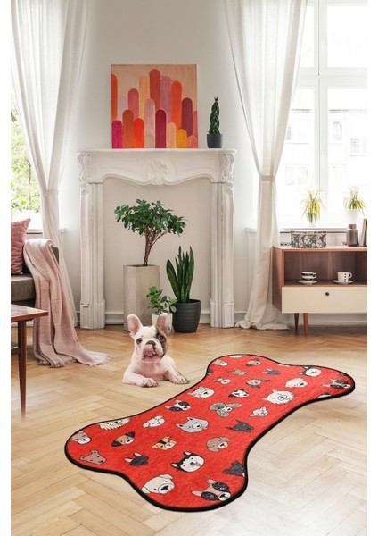 Osso Dijital Paspas 70 x 120 Cm Djt