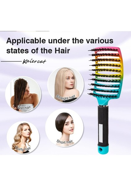 Profesyonel Içi Boş Tarak Saç Fırçası Saç Derisi Masaj Tarak Saç Fırçası Kıl Naylon Kadın Islak Kıvırcık Detangle Saç Fırçası Salon (Yurt Dışından) fiyatları