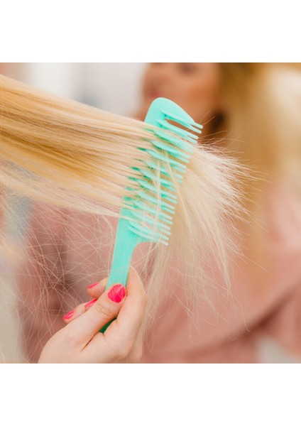 Taşınabilir Kuaför Tarak Çift Sıralı Diş Kadın Islak Kıvırcık Saç Fırçaları Pro Salon Saç Şekillendirici Araçları Saç Derisine Masaj Fırçası (Yurt Dışından) fiyatları