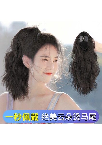 Peruk Seti At Kuyruğu Simülasyon Saç Tam Gerçek Insan Saç Bulut Sıcak Kavrama At Kuyruğu Peruk Hamur-Büküm Tarzı Bezler Yüksek At Kuyruğu (Yurt Dışından)