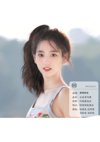 Peruk Seti At Kuyruğu Simülasyon Saç Tam Gerçek Insan Saç Bulut Sıcak Kavrama At Kuyruğu Peruk Hamur-Büküm Tarzı Bezler Yüksek At Kuyruğu (Yurt Dışından) indirimleri